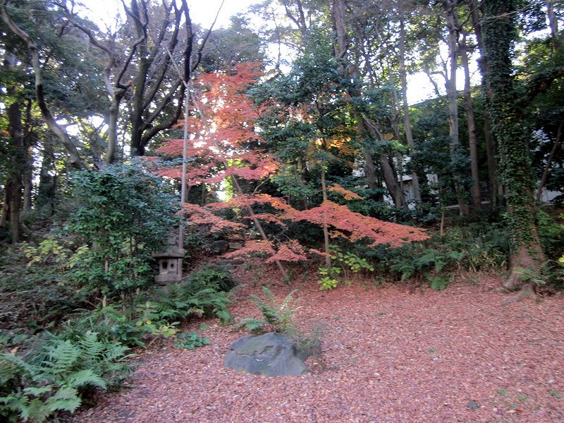 画像2:在日イタリア大使館庭園no.2