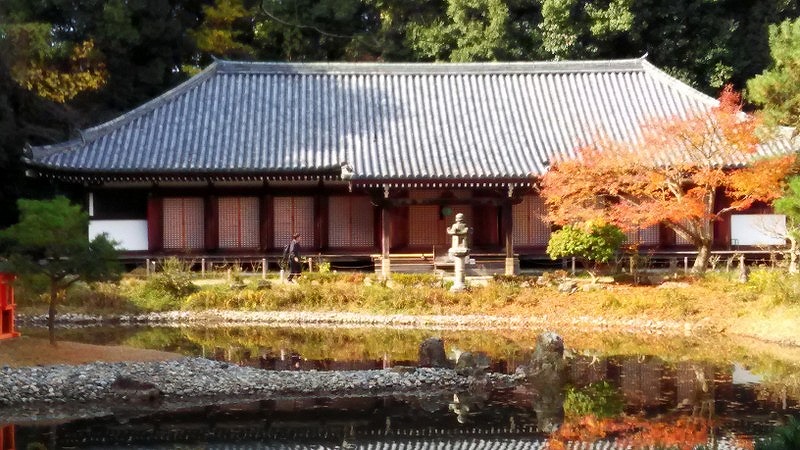 画像5:浄瑠璃寺no.5