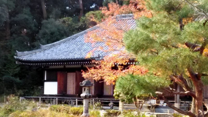 画像6:浄瑠璃寺no.6