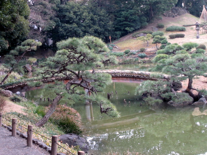 画像4:清澄庭園no.4
