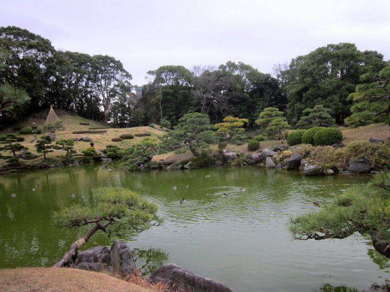 画像1:清澄庭園no.6