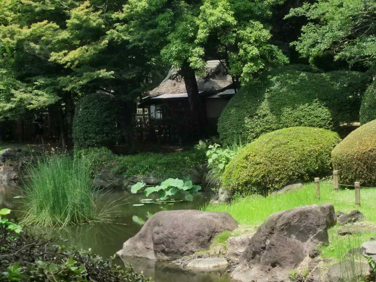 画像3:東京国立博物館庭園no.3