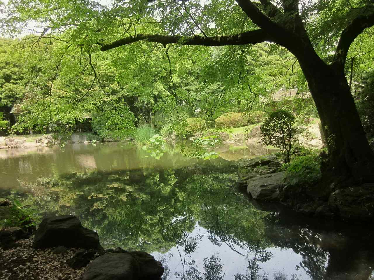 画像4:東京国立博物館庭園no.4