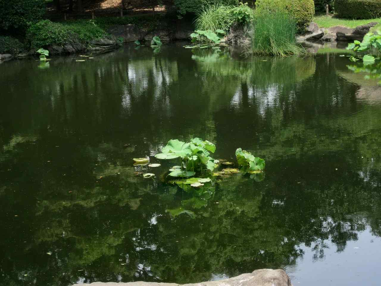画像2:東京国立博物館庭園no.7
