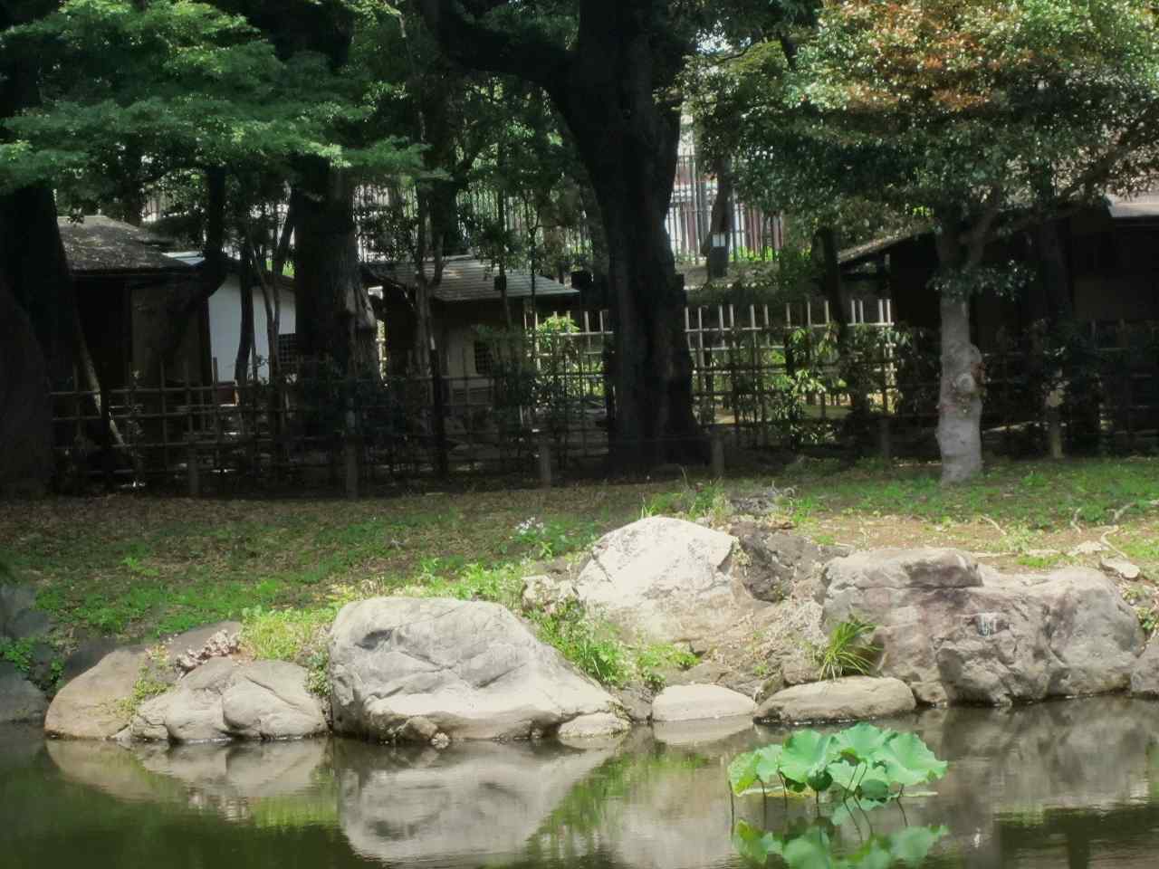 画像3:東京国立博物館庭園no.8