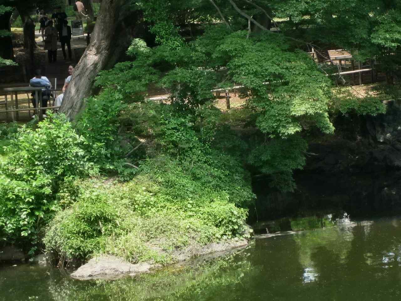 画像4:東京国立博物館庭園no.9