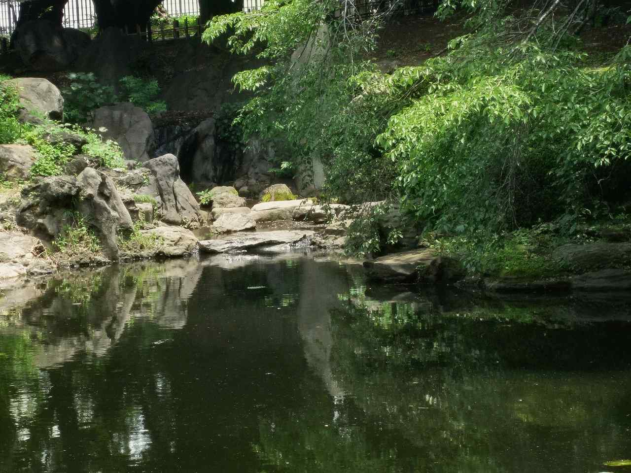 画像5:東京国立博物館庭園no.10
