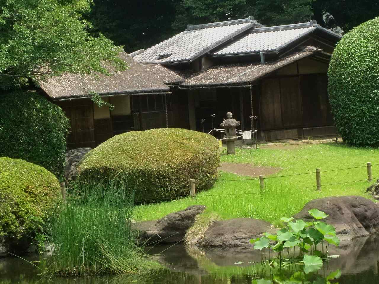画像6:東京国立博物館庭園no.11