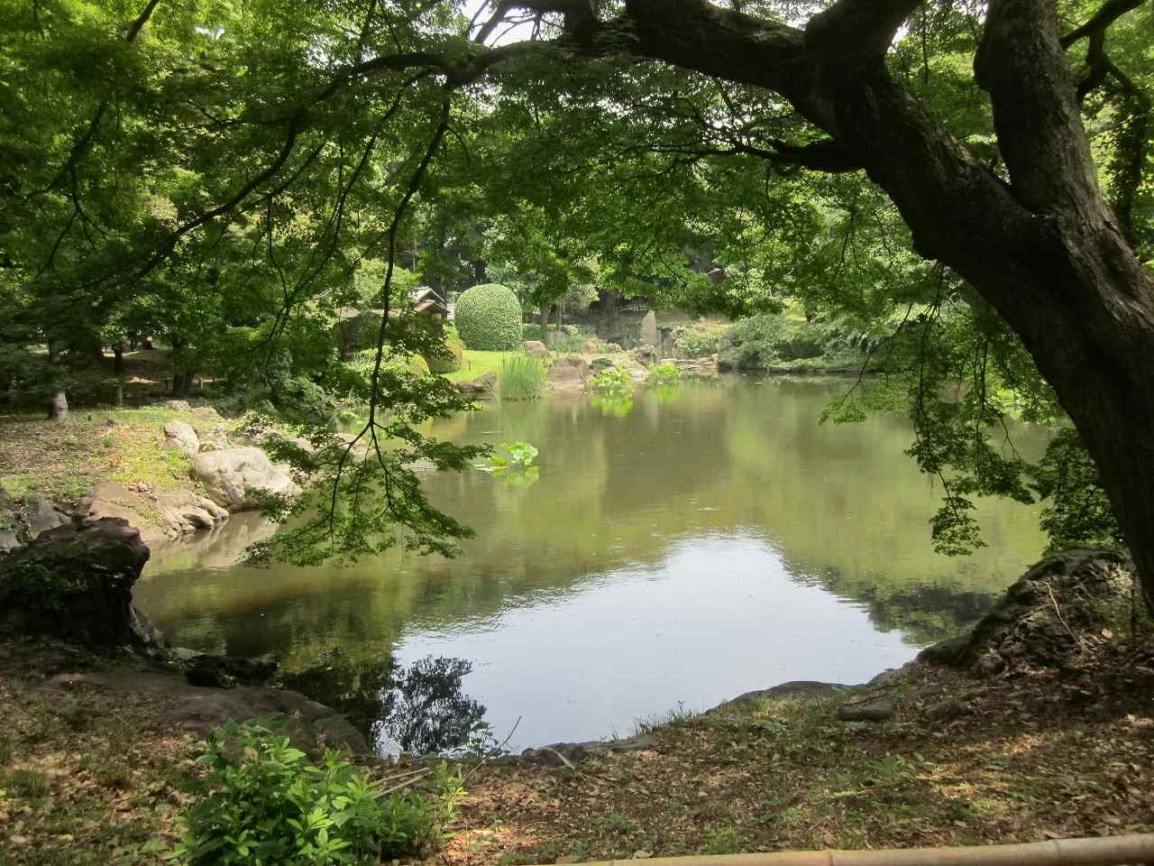 画像3:東京国立博物館庭園no.13
