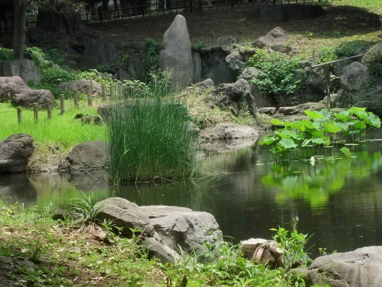 画像3:東京国立博物館庭園no.18