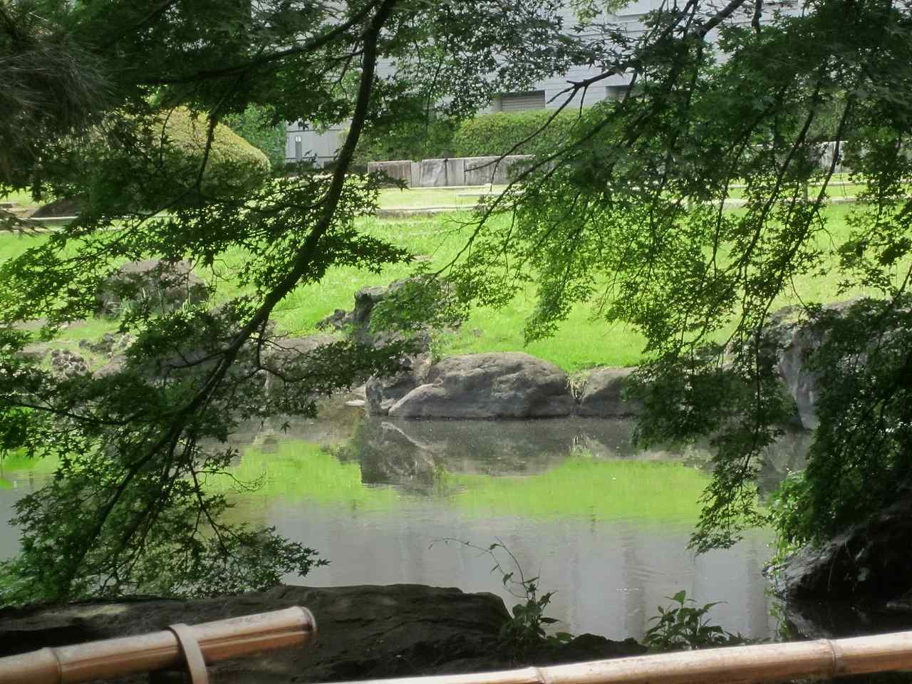 画像4:東京国立博物館庭園no.17