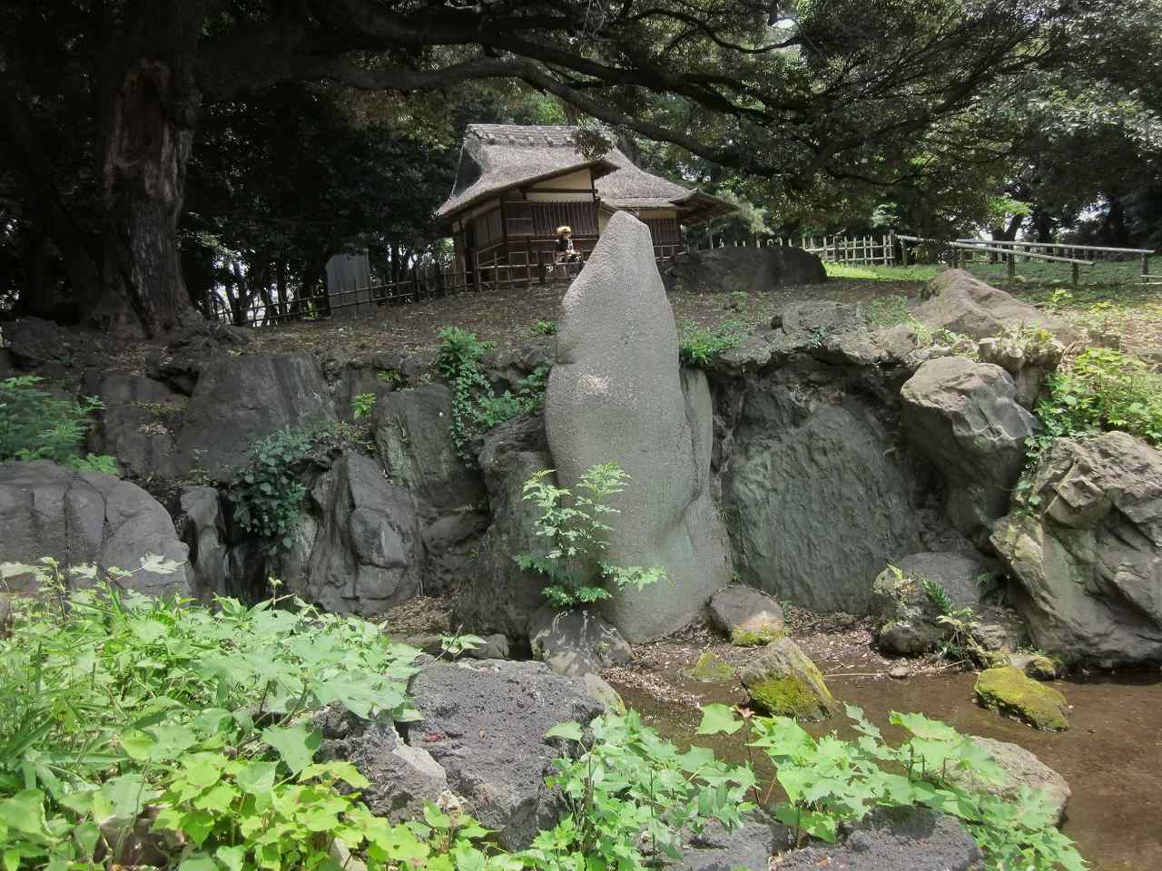 画像5:東京国立博物館庭園no.23