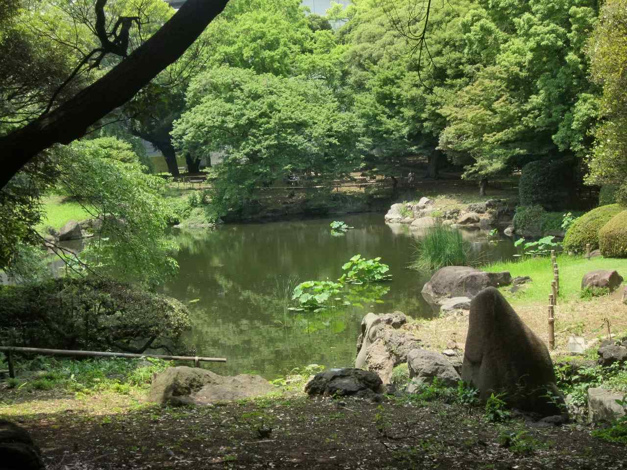 画像4:東京国立博物館庭園no.26